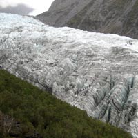 Fox Glacier